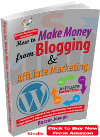 how to make money from blogging and affiliate marketing book by buzzer joseph